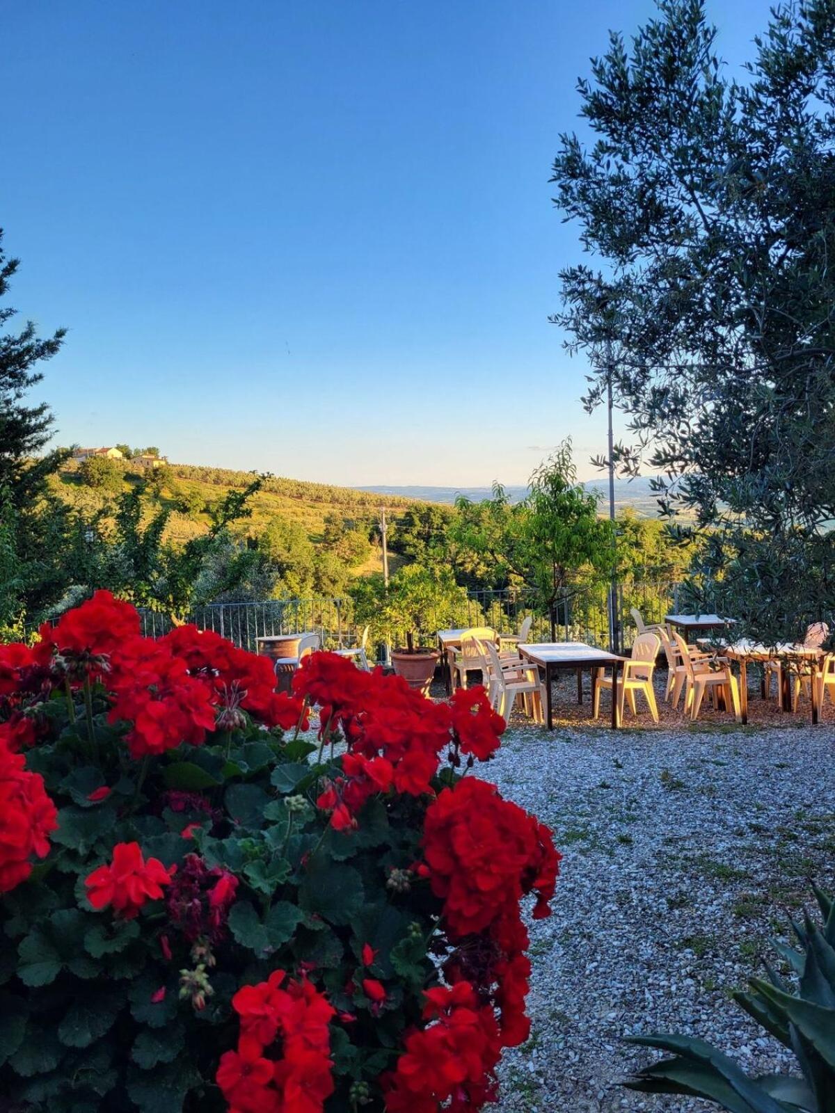 Agriturismo La Gioconda Vinci Buitenkant foto