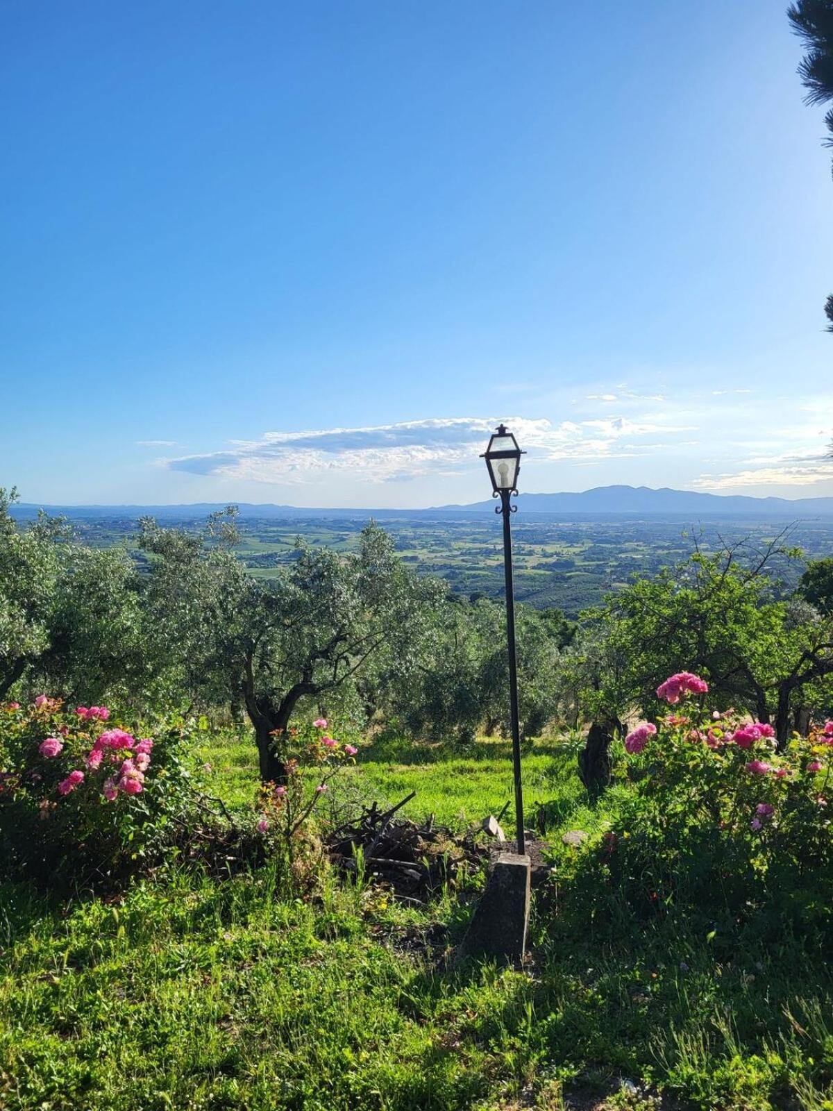 Agriturismo La Gioconda Vinci Buitenkant foto