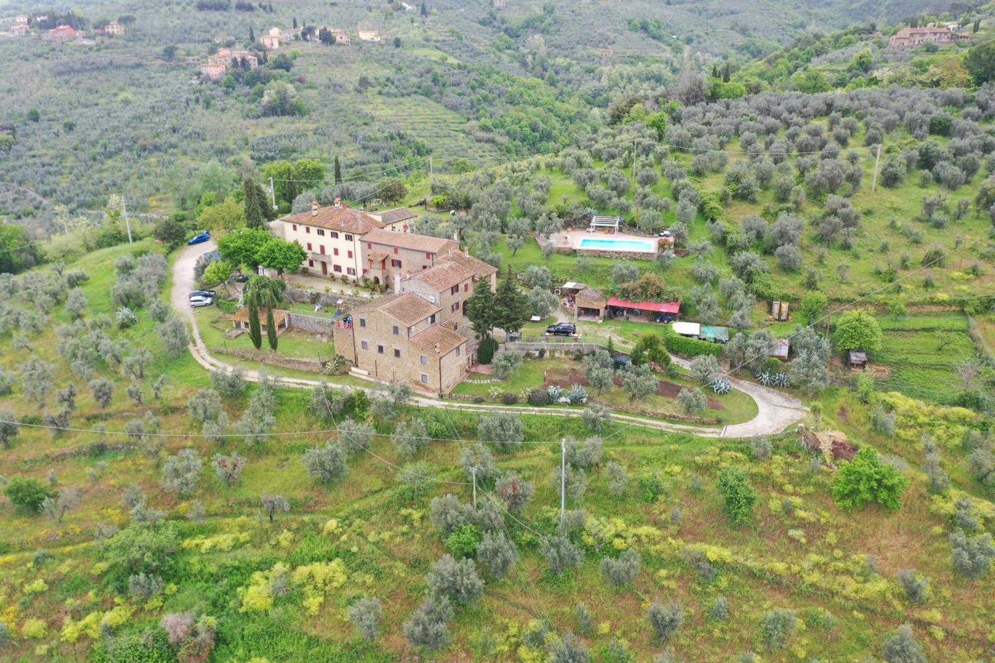 Agriturismo La Gioconda Vinci Buitenkant foto